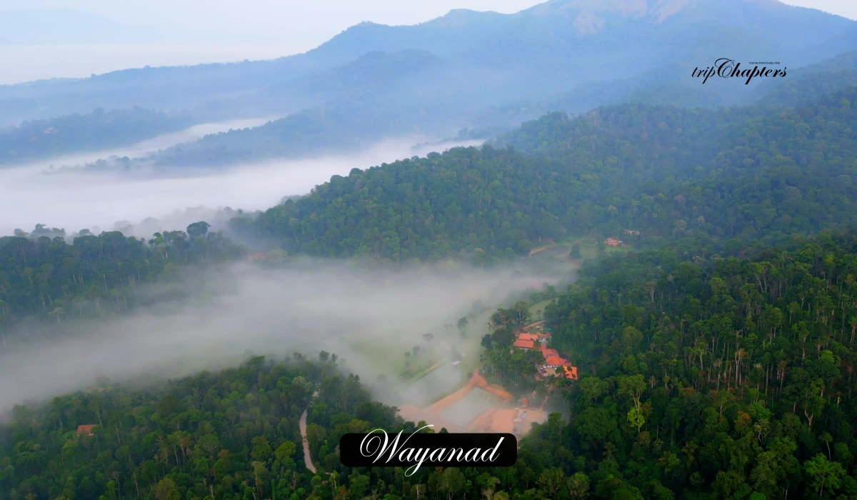 Aerial view of misty forest and resorts in Wayanad, Kerala