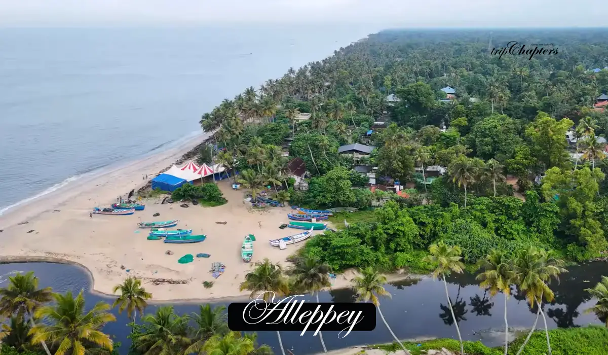 Alleppey beach with fishing boats and palm trees