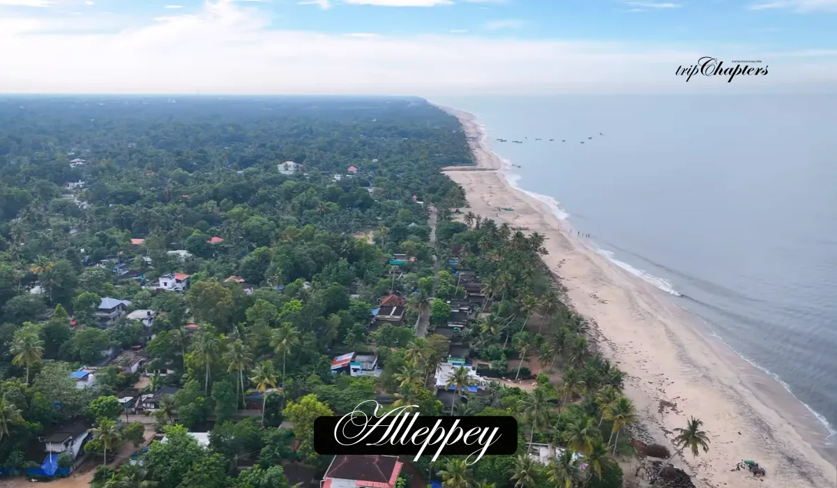 Alleppey coastline with beach, sea, and lush green treeline.