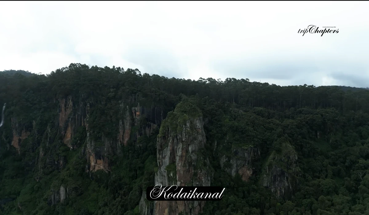 Cliffside view at Kodaikanal