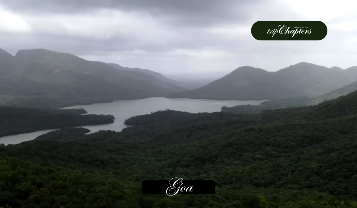 Green lake in Goa Monsoon