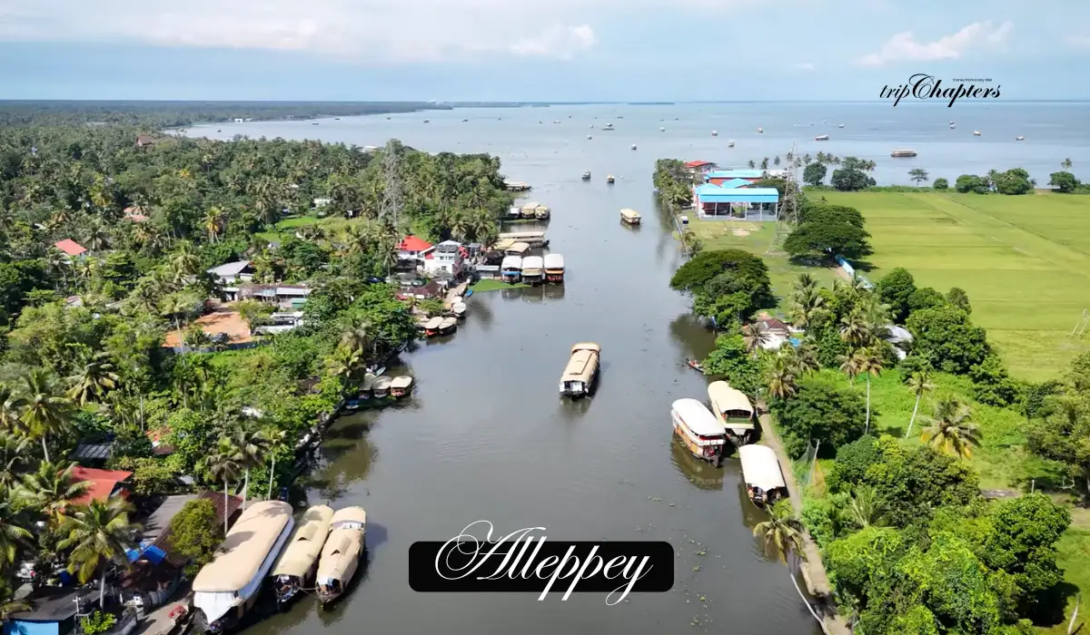 Houseboats on Alleppey backwaters