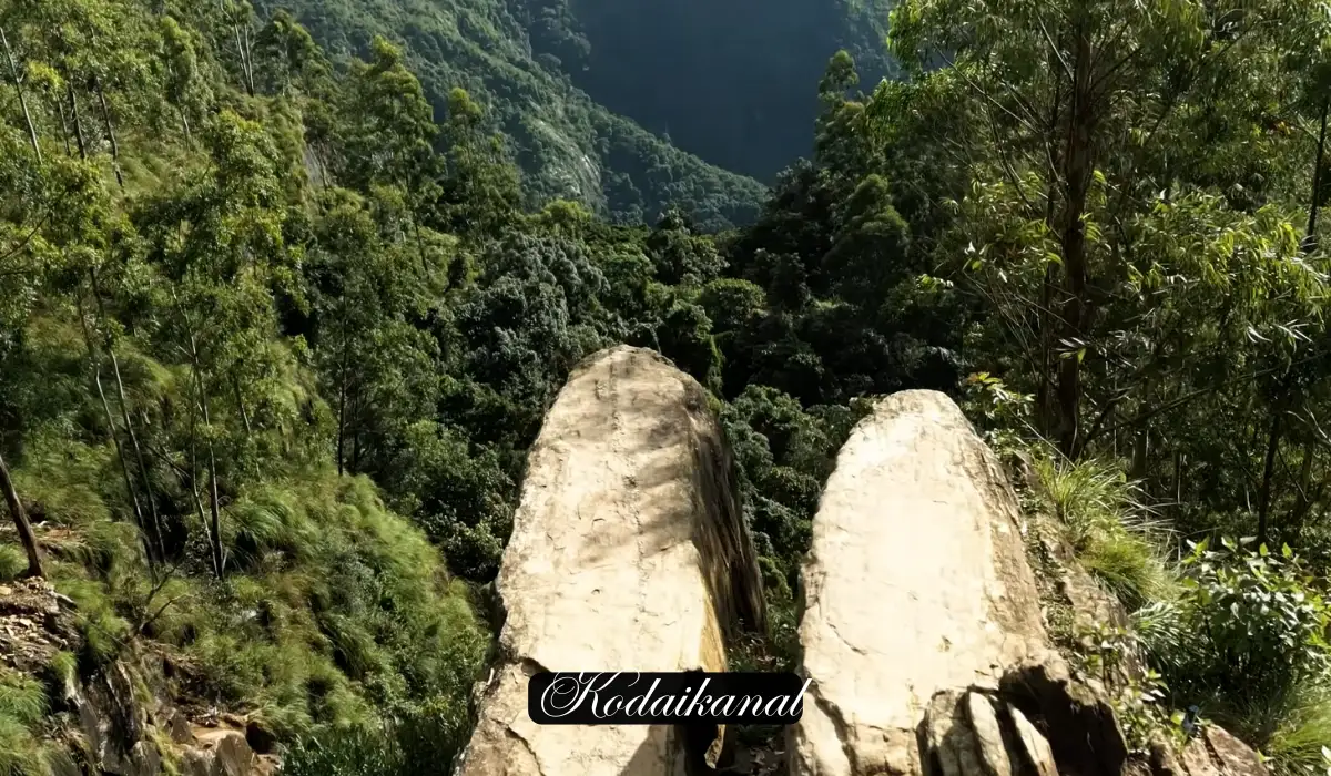 Kodaikanal dolphin nose tourist spot