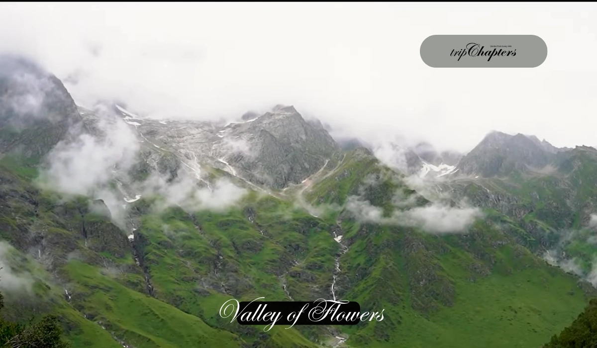 Misty monsoon mountains with waterfalls in Valley of Flowers