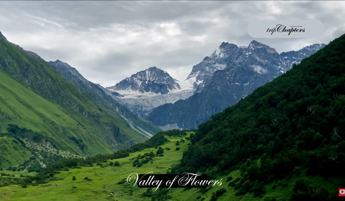 Monsoon green Valley of Flowers with snow-capped peaks
