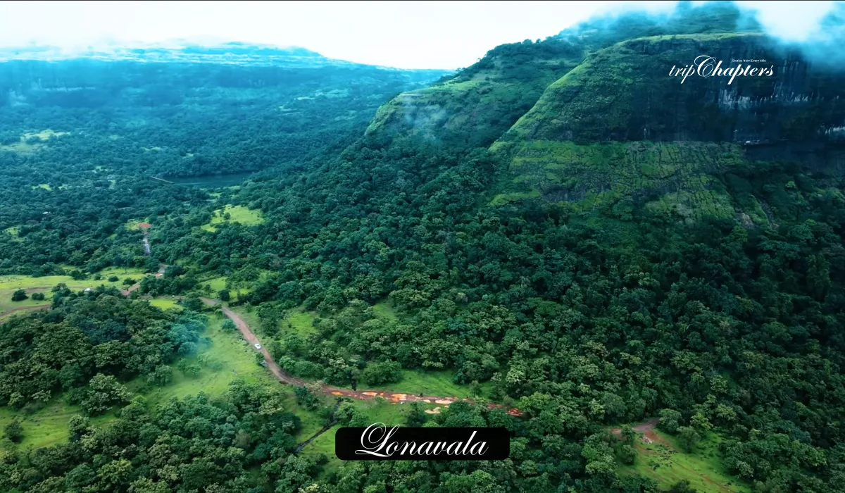Monsoon vista of dense green forests and mist-covered rolling hills in Lonavala