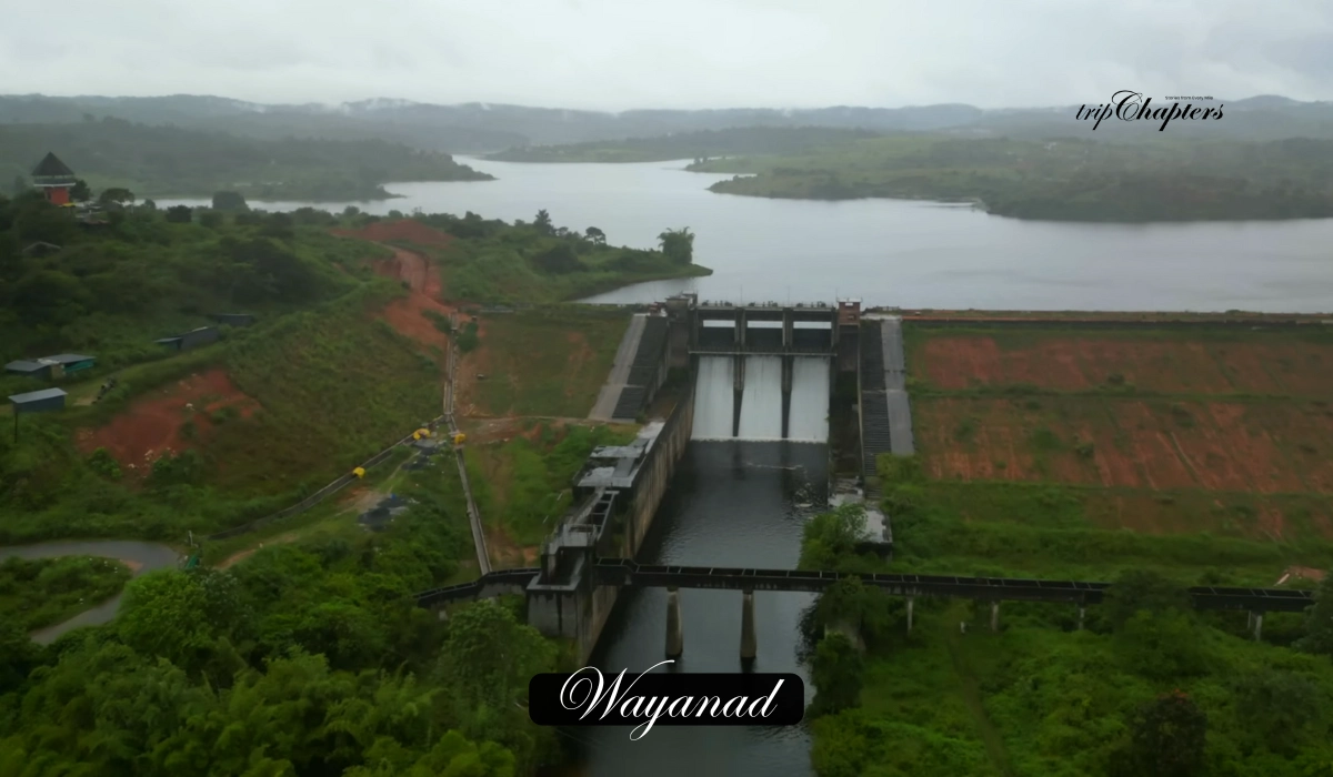 Nature and dam with water flowing in Wayanad