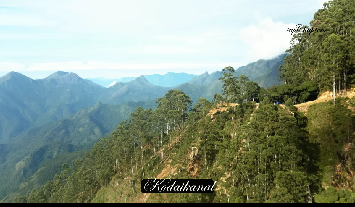 Scenic hill road in Kodaikanal