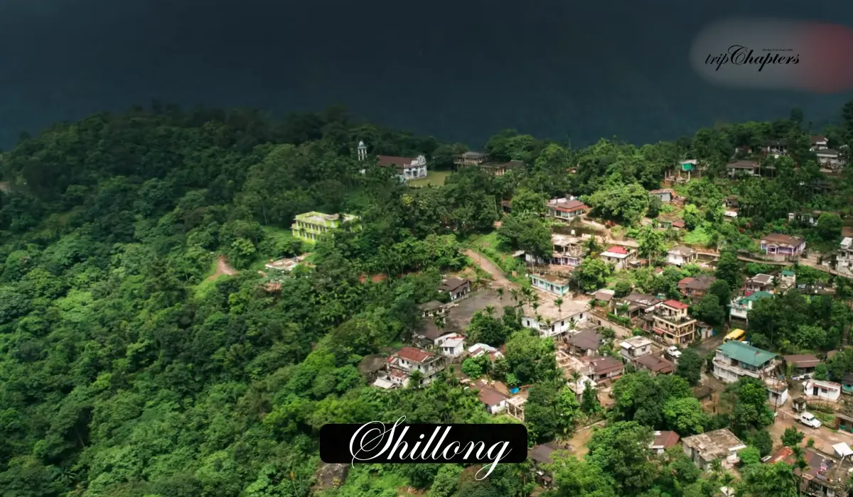 Shillong lush green hills with dense forest