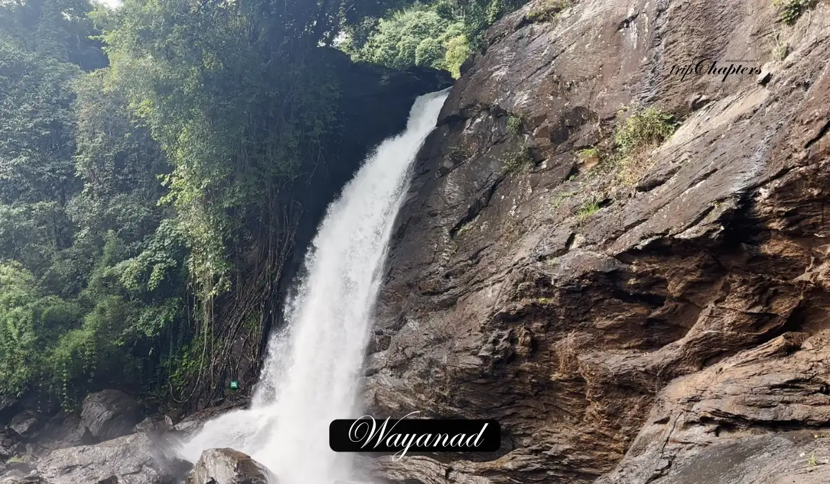 Waterfall in Wayanad
