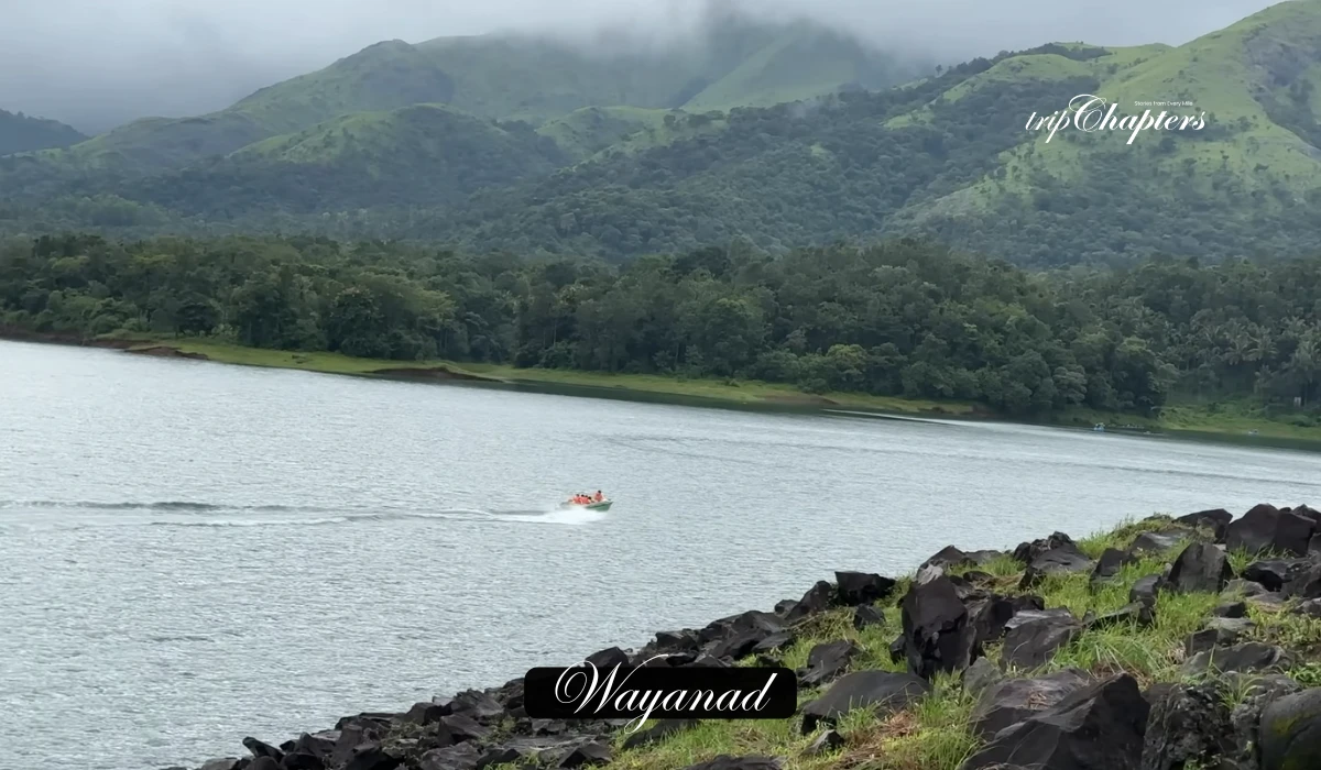 Wayanad lush green, mist-shrouded mountains