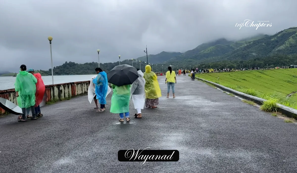 Wayanad visitors in rain