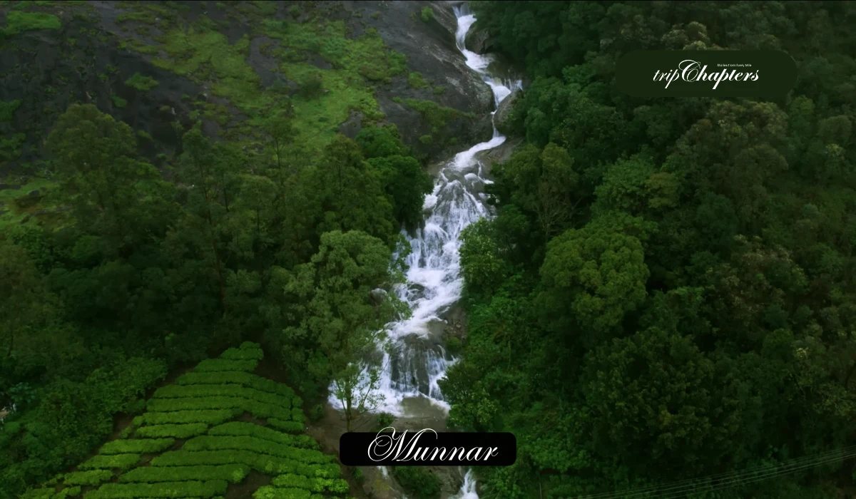 Waterfall flowing through lush green tea in Munnar